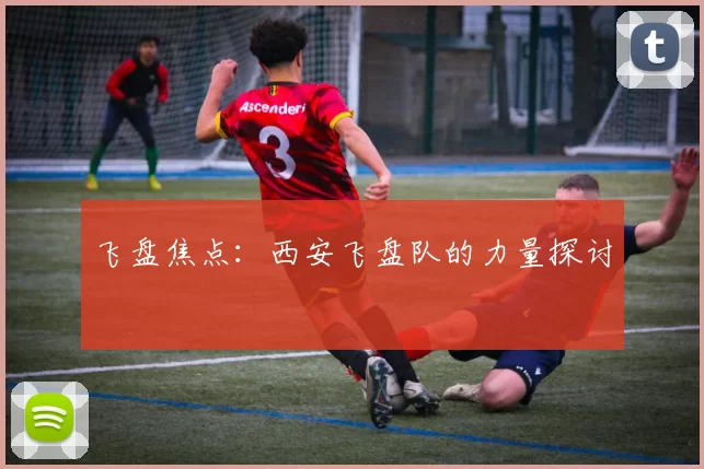飞盘焦点：西安飞盘队的力量探讨