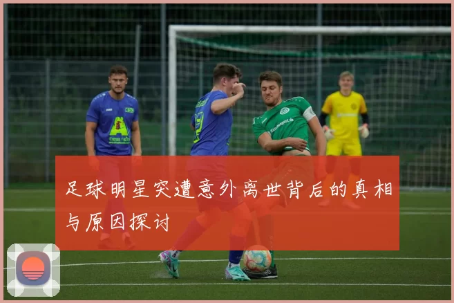 足球明星突遭意外离世背后的真相与原因探讨