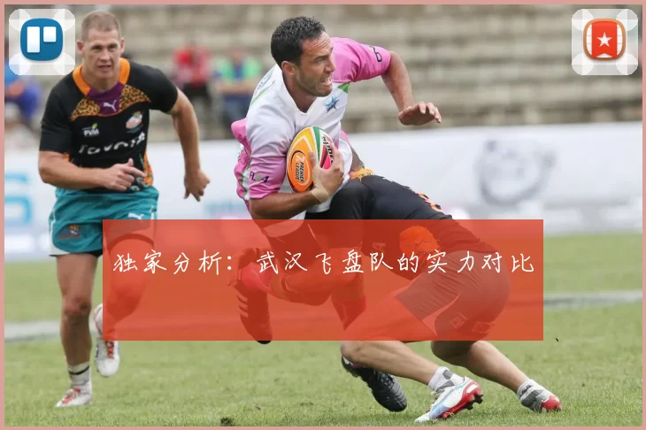独家分析：武汉飞盘队的实力对比