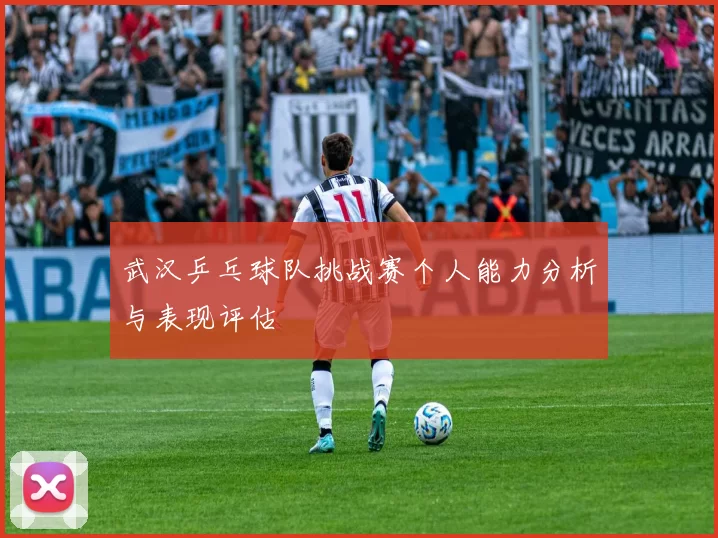 武汉乒乓球队挑战赛个人能力分析与表现评估