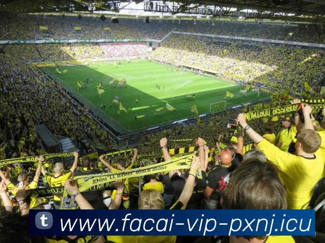 乐竞体育APP 体育赛事宣传图